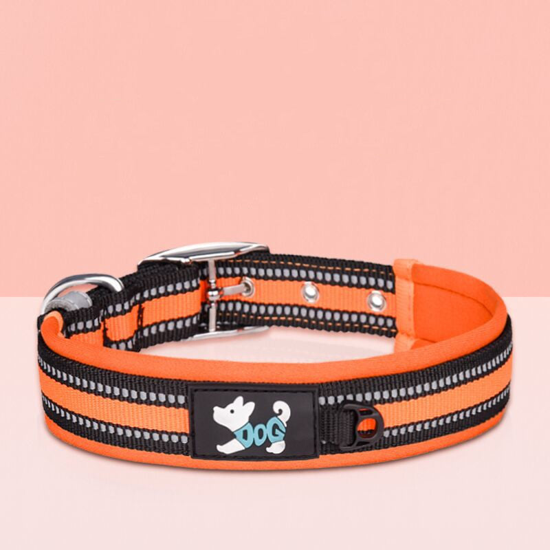 High-Visibility Pet Collar & Leash Set – Reflective Safety Collar for Dogs